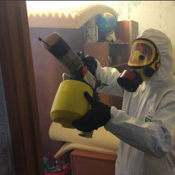 Уничтожение клопов в квартире. Солнцево